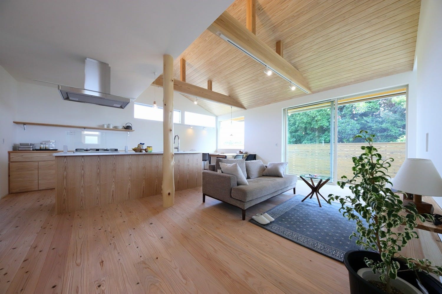 TRF～Triangular roof～　自分の山の木を使った桜島が見える三角屋根の平屋