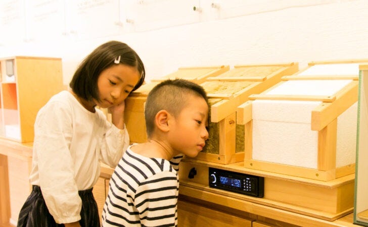 エコボードの静音効果を体感