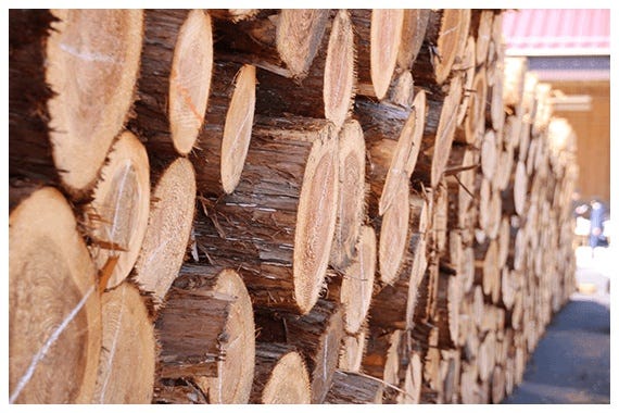 LOHASTA home では、地球環境やエネルギー資源、健康に配慮した、厳選された自然素材を採用しています。
室内環境では、食品よりも空気の方が摂取量が多いといわれています。
下地材・断熱材・接着剤など見えない箇所にもこだわることで有害物質を含まない、綺麗な空気で癒される、快適な空間を創造します。また、無垢の建材や建具を製造する自社工場では、製造エネルギーに配慮し、乾燥窯の燃料は、工場から出た廃材を利用し、一切の化石燃料は使用しておりません。